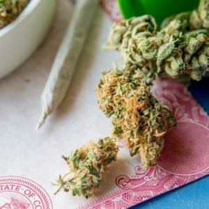Buy Marijuana Card