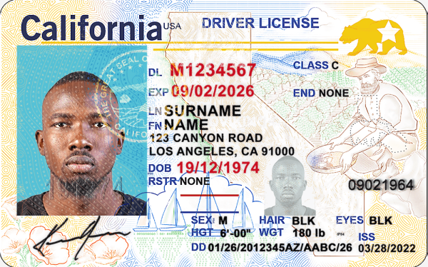 California driver's license