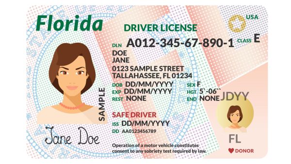 Florida  drivers License - Image 2