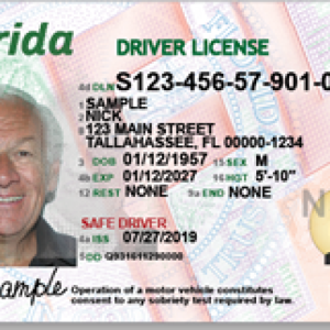 Florida  drivers License