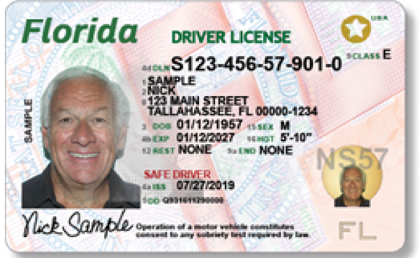 Florida  drivers License