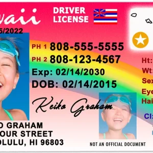 Hawaii drivers License