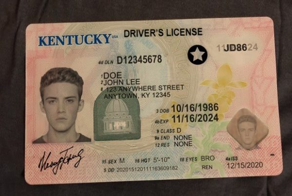 Kentucky drivers license