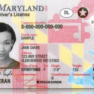 Maryland drivers license