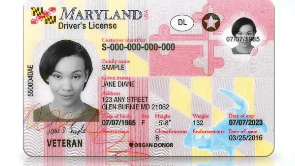 Maryland drivers license