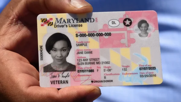 Maryland drivers license - Image 2