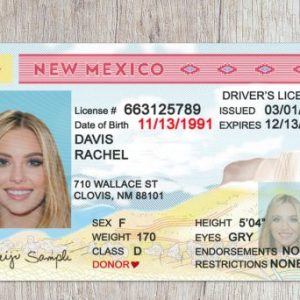 New Mexico drivers license