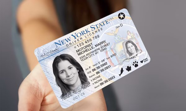 New York drivers license - Image 2