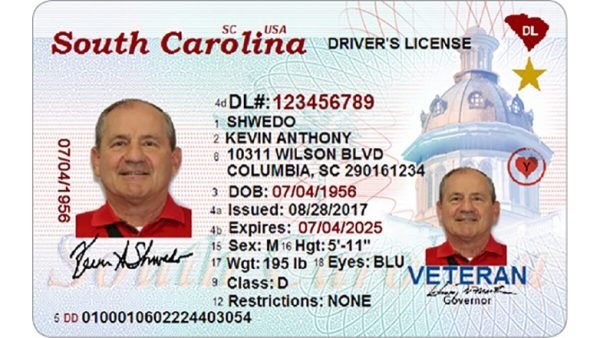 South Carolina drivers license
