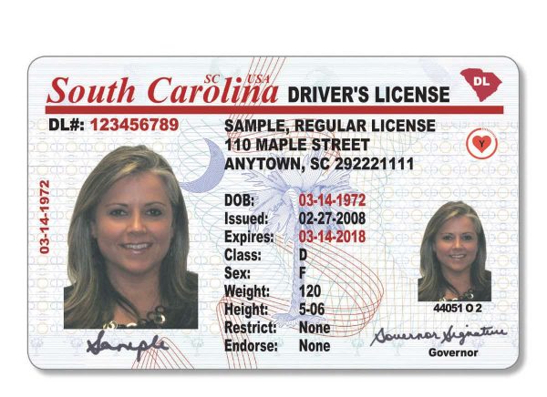 South Carolina drivers license - Image 2